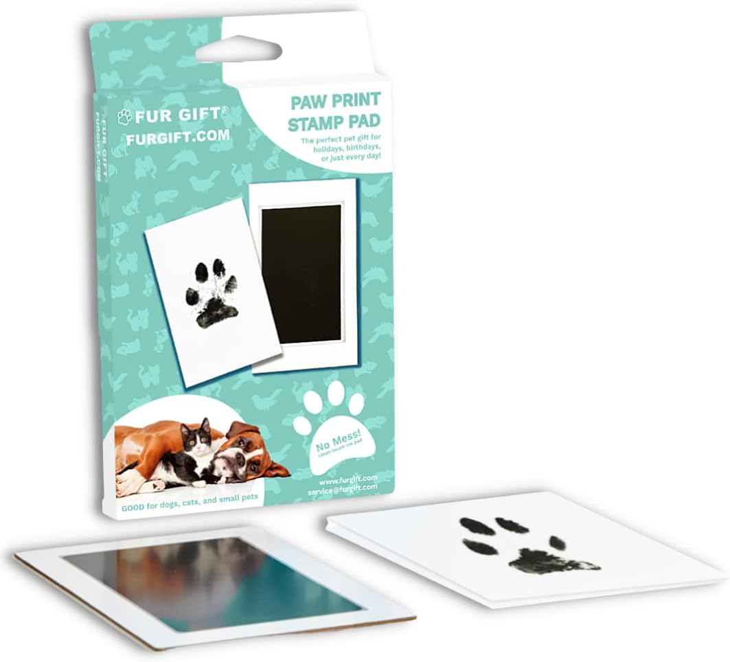 dog paw print kit